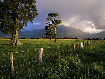 Field, blue, plants, greenroofs, kahikatea trees, fence, trees, mountains, cloud, sunset, landscape, grass, tree, mountain, green, fields, clouds, nature, sky HD wallpaper