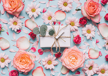 Flowers, roses, petals, gift box HD wallpaper