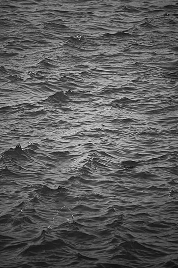 Nature, Water, Waves, Ripples, Ripple, Bw, Chb HD phone wallpaper