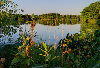 Landscape, Nature, Trees, Lake HD wallpaper