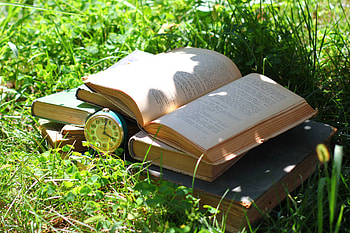 Books on grass, Reading in nature, Serene ry, Relaxing book moments HD wallpaper