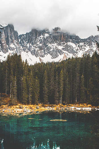 Nature, Rocks, Lake, Reflection, Forest, Fog HD phone wallpaper