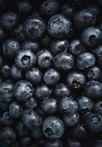 Food, Bilberries, Macro, Berry, Fruit HD phone wallpaper