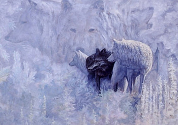White Wolf Black Wolf, Wolves, white, black, fantasy, animals, Wolf, sky, nature HD wallpaper