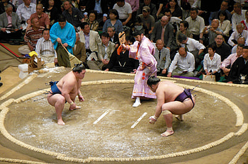 Sumo, Japan travel, Part 1 exploration, Topical musings HD wallpaper
