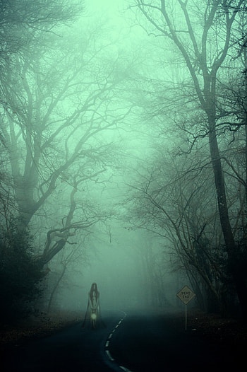 Foggy Road, atmosphere, cloud, creepy HD phone wallpaper