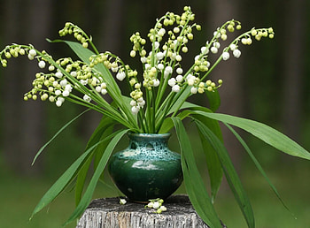 Flowers, Leaves, Lily Of The Valley, Bouquet, Vase, Stump, Penek, Primroses HD wallpaper