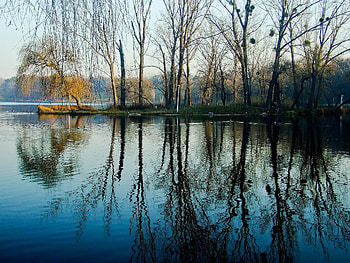 Spring, Nature, Water, Trees, Lake, Park HD wallpaper