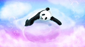 Panda bear, bubble, lying, bubbles, pink, blue, sleeping . HD wallpaper
