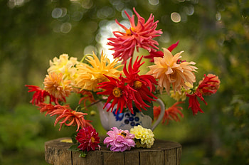 Bouquet of delicate flowers, bokeh, bouquet, fall, vase, beautiful, still life, delicate, pretty, autumn, flowers, lovely HD wallpaper