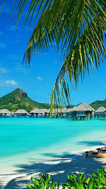 Bora Bora, , Top , Backgrounds HD phone wallpaper