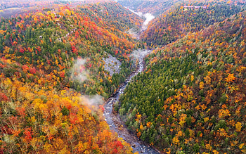 Blackwater River, West Virginia, forest, valley, autumn, trees, landscape, usa HD wallpaper