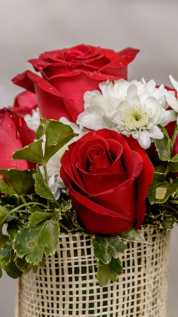 Beautiful Flowers Roses, Floral Bouquet HD phone wallpaper