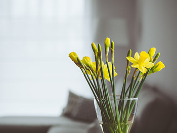 Flowers, Bouquet, Vase HD wallpaper