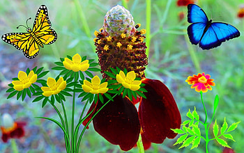 Wildflower Fantasy, fantasy, sureal, enhanced, flower HD wallpaper