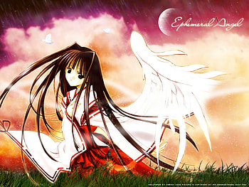 Angel anime, sweet, angel, anime, abstract HD wallpaper