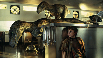 Jurassic Park, Velociraptor HD wallpaper