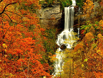 Autumn waterfall, leaves, fall, red, trees, waterfall, autumn, nature HD wallpaper