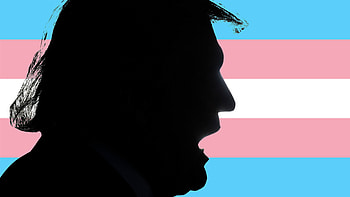 Transgender Pride HD wallpaper