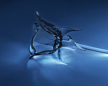 Crystal_Rose, , -rose, from net, crystal HD wallpaper