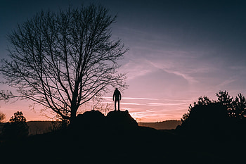 Trees, Dark, Evening, Human, Person, Hill HD wallpaper