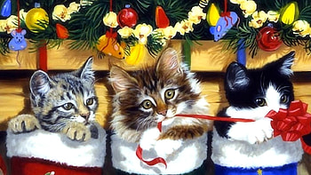 Christmas, Christmas Ornaments, Holiday, Cat, Kitten HD wallpaper