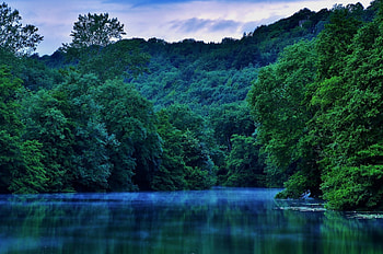 Woodchester Lake, England, landscapes, dawning, trees, forest HD wallpaper