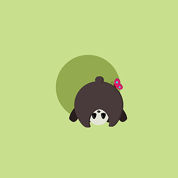Funny, Vector, Butterfly, Cool, Panda HD phone wallpaper