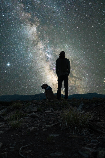 Night, Miscellanea, Miscellaneous, Dog, Starry Sky, Nebula, Human, Person HD phone wallpaper