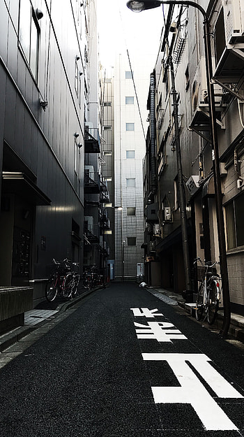 Cities, Bicycles, Building, Asphalt, Urban, Lane HD phone wallpaper