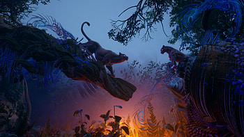 Jungle Panthers Animals Nighttime Fire Background Fantasy HD wallpaper