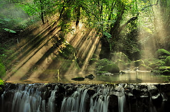 Tranquil waterfall in a lush forest with sunbeams streaming through the trees, creating a peaceful scene. HD wallpaper