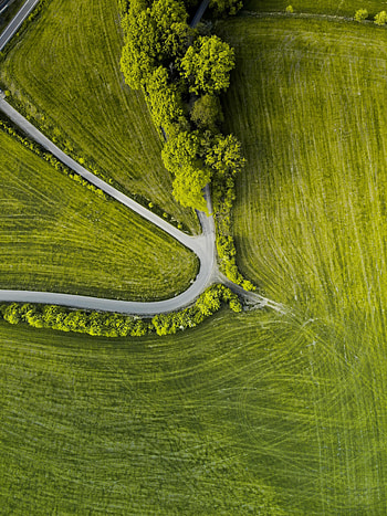 Nature, Trees, Grass, View From Above, Road, Sinuous, Winding HD phone wallpaper