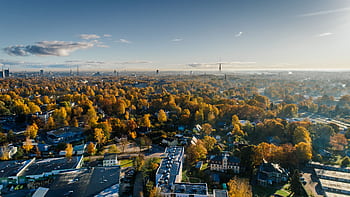 Breathtaking aerial view of a city in autumn, showcasing vibrant foliage and a distinctive tower in the skyline. HD wallpaper