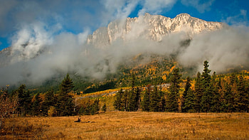 Splendor our planet, nature, cloud, tree, mountain HD wallpaper