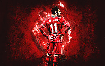 Mohamed Salah, ynwa, egyptian, lfc, mohamedsalah, liverpool HD wallpaper