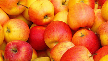 COOL APPLES, glamour, gentle, delight, colors, delightfully, charm, beach, fascination, blue sky, extraordinary, , bright, happy, elegance, feel, female, dom, clear , brunette, gorgeous, hot, eyes, girl, fashion model, emotions, gentility, breeze, face, best, challenging, hair, harmony, blue, colorful, emotion, curly hair, attractive, feel the breeze, cute, femininity, grace, long hair, beauty, lady, delicate, gentleness, amazing, lips, happiness, beautiful woman, entertainment, harmonious, hands, beautiful, fresh, charming, elegant, eyes closed, cool, joy, excited HD wallpaper