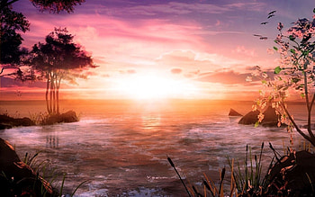 Nature, Trees, Sunset, Sun, Reeds, Blinding, Blindness HD wallpaper
