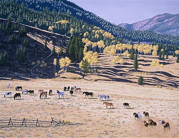 turn em loose, landscapes, fences, horses, woods of the north HD wallpaper