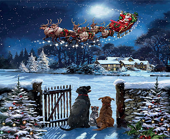 Watching The Fly Past, christmas, santa, winter, reindeer, snow, dogs, tree HD wallpaper