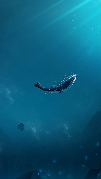 Whale delight, Majestic sea mammal, Underwater charm, Nature's gentle giant HD phone wallpaper