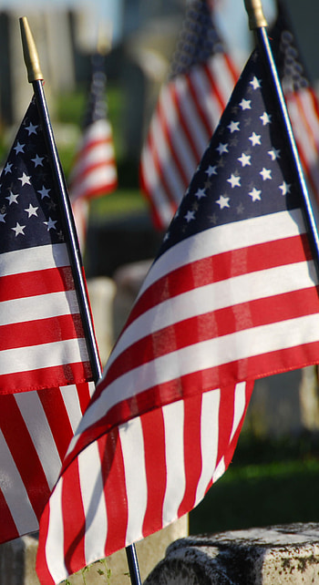 Memorial Day tribute, bliss, Patriotic backgrounds, Remembrance and honor HD phone wallpaper