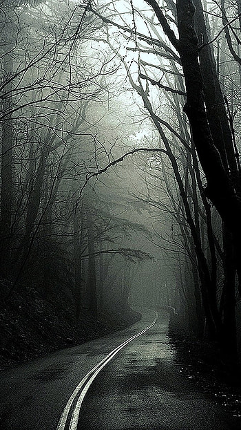 Black Devil, Forest, Horror HD phone wallpaper