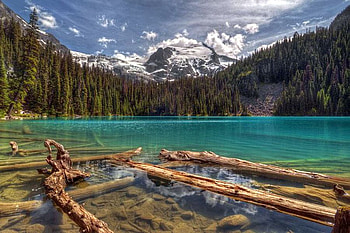 Woods in Lake, beautiful, woods, in lake HD wallpaper
