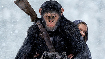 Planet of the Apes, War film, 1440p resolution HD wallpaper