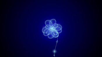 Abstract, Background, Smoke, Flower, Pattern HD wallpaper