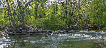 Flowing Creek, trees, creek, water, rivers, nature HD wallpaper