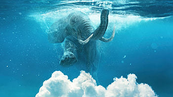 Elephant Under Water Manipulation , elephant, manipulation, artist, artwork, digital-art HD wallpaper