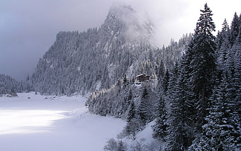 Nature, Mountains, Snow, Forest, Fog, Small House, Lodge, Haze, Ate HD wallpaper