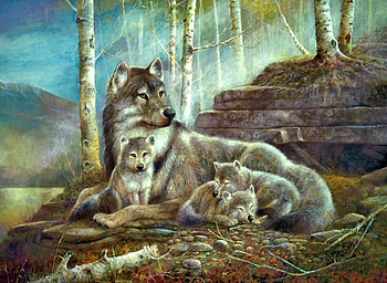 wolve family, puppies, natur, wolves, animals HD wallpaper